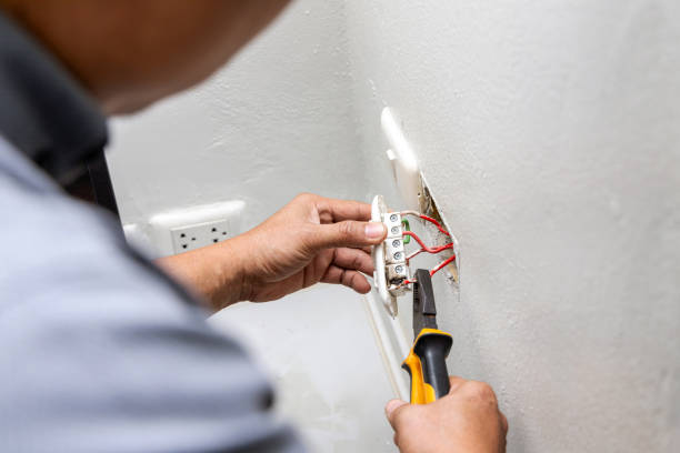 Best Electrical System Inspection  in Livingston, TN